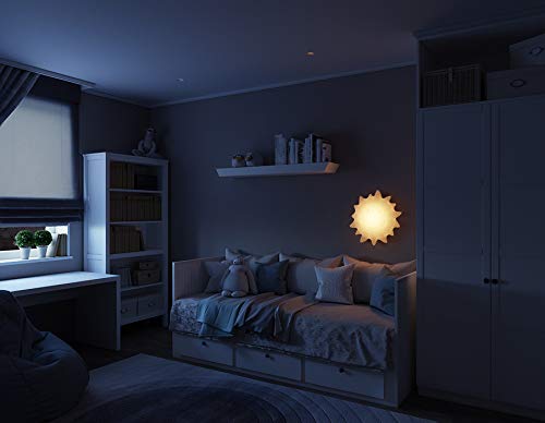 AGU Smart Natural Light Lamp - Sunny Wake Up Light Alarm Clock with AGU App Bluetooth