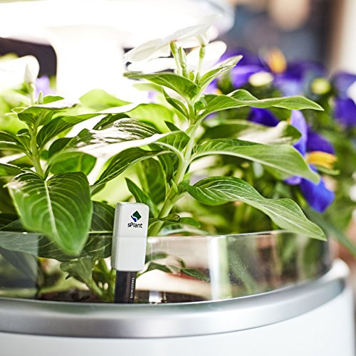 Bureze sPlant Smart Fresh Herb Garden Kit Intelligent Indoor Sprout LED Light Garden Four Flower Pot