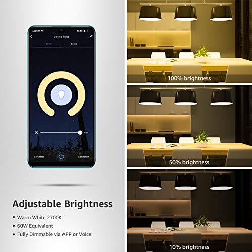 LE Alexa Smart Light Bulb B22, 60W Equivalent, Dimmable LED Bayonet Bulb, Works with Alexa and Google Home, No Hub Required (9W, 806lm, Warm White 2700K, 2.4GHz Wifi)
