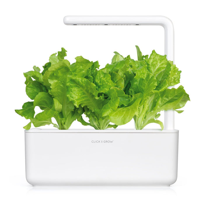 Click and Grow Smart Garden Green Lettuce Plant Pods, 3-pack