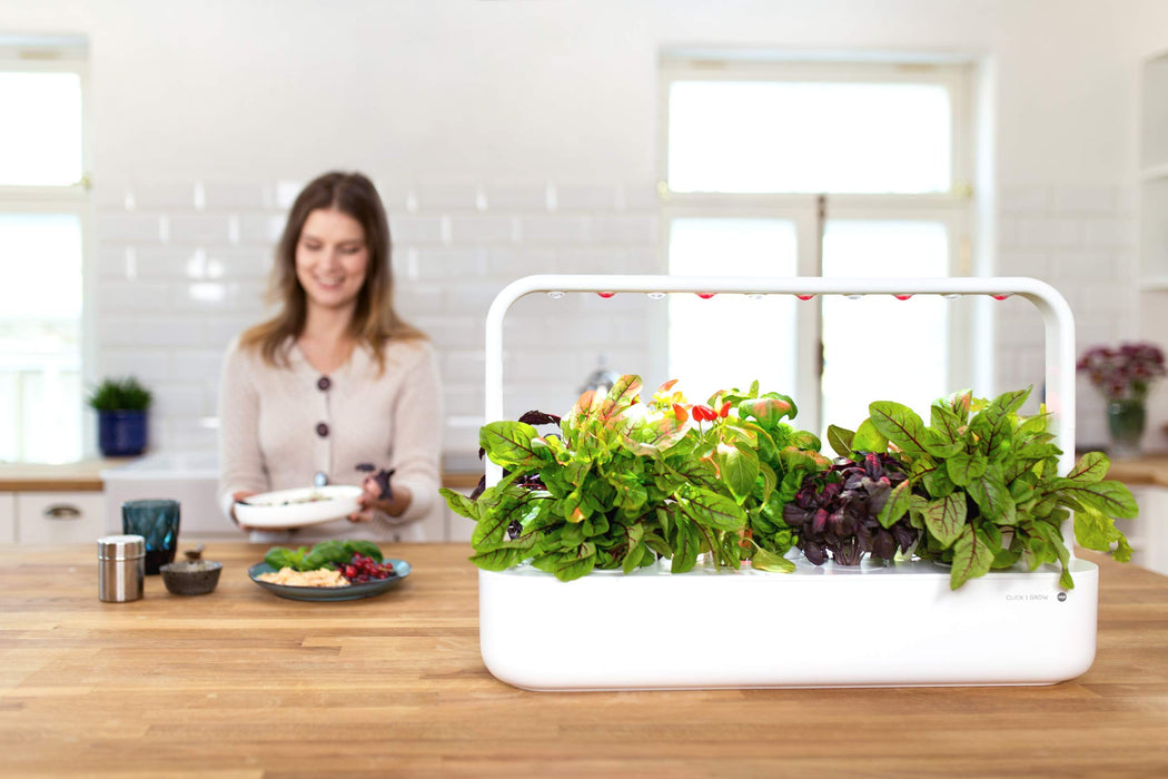 Click and Grow Smart Garden Chili Pepper Plant Pods, White, 3-pack