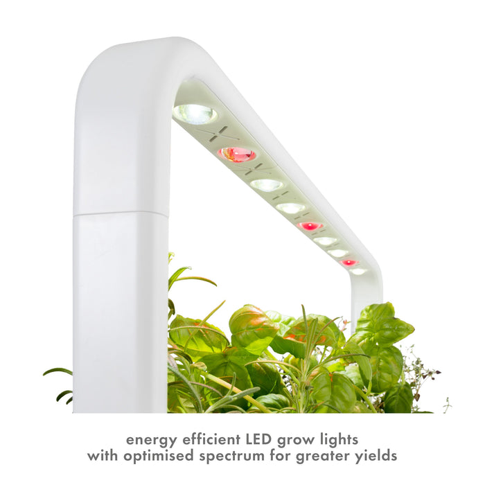 Click & Grow Smart Garden 9 Indoor Gardening Kit (includes 3 mini tomato, 3 basil and 3 green lettuce plant pods), Grey